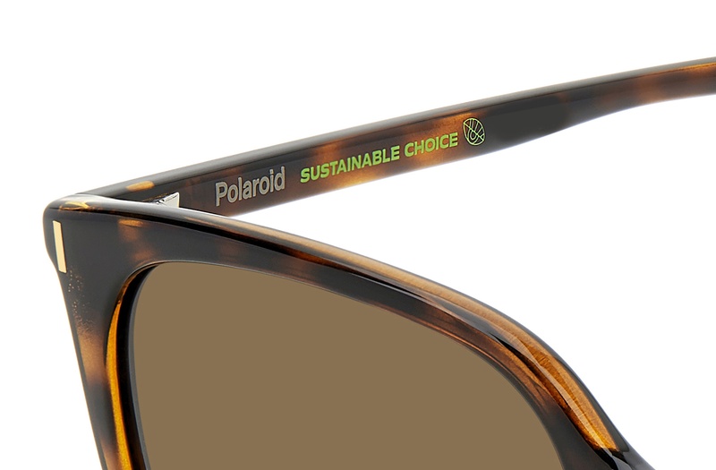 Polaroid PLD 6218/S 086SP 56-19