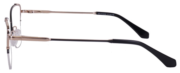 Diverso  SP 132 C1 53-17