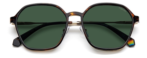 Polaroid  PLD 6183/C/S 06J99 56-17