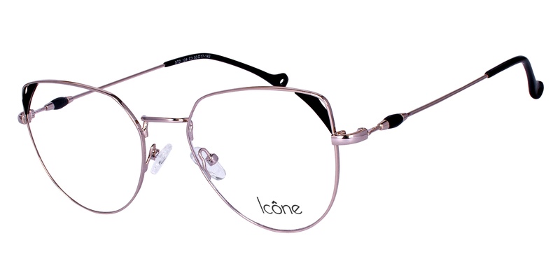 Icone STD 124 C3 53-17