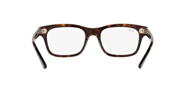 Ray-Ban RB 5383 2012 54-19