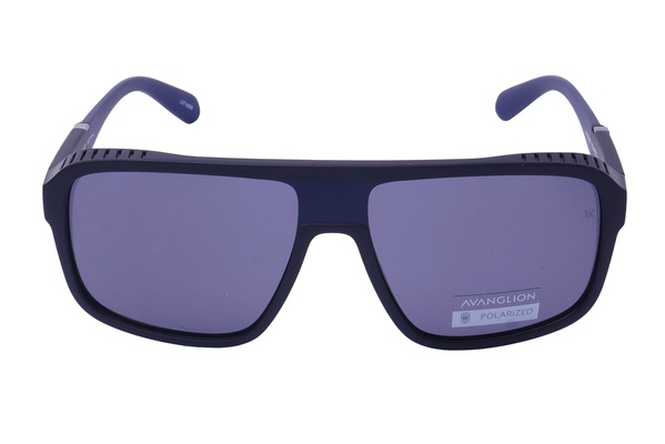 Avanglion AVS 7152 310-4-2P 59-15