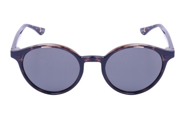 Polarglare PG 6023C BROWN TORT 50-19