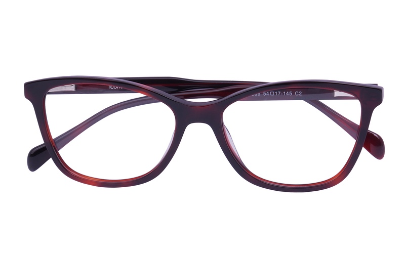 Icone 884309 C2 54-17