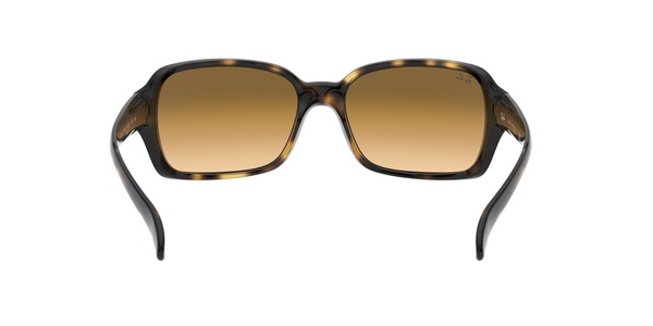 Rayban RB 4068 710/51 60-17