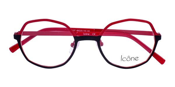 Icone 96127 C6 49-20