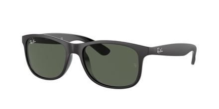 Ray-Ban RB 4202 6069/71 55-17