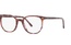 Rayban RB 5397 8175 50-19
