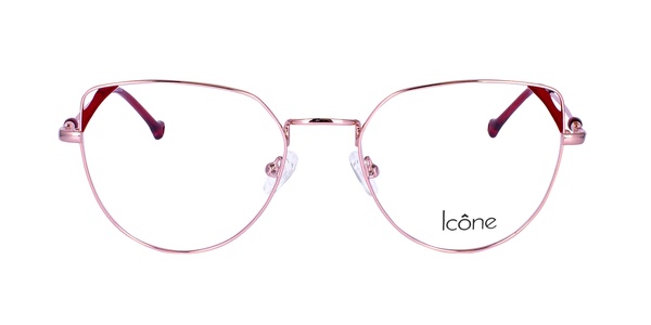 Icone STD 124 C1 53-17