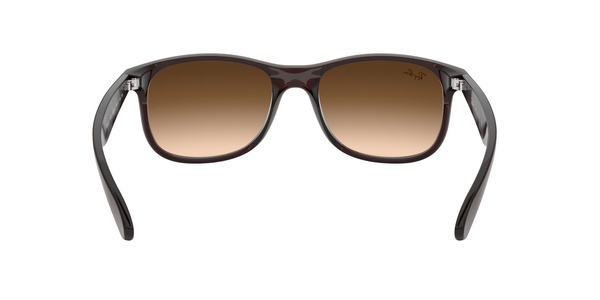 Rayban RB 4202 6073/13 55-17
