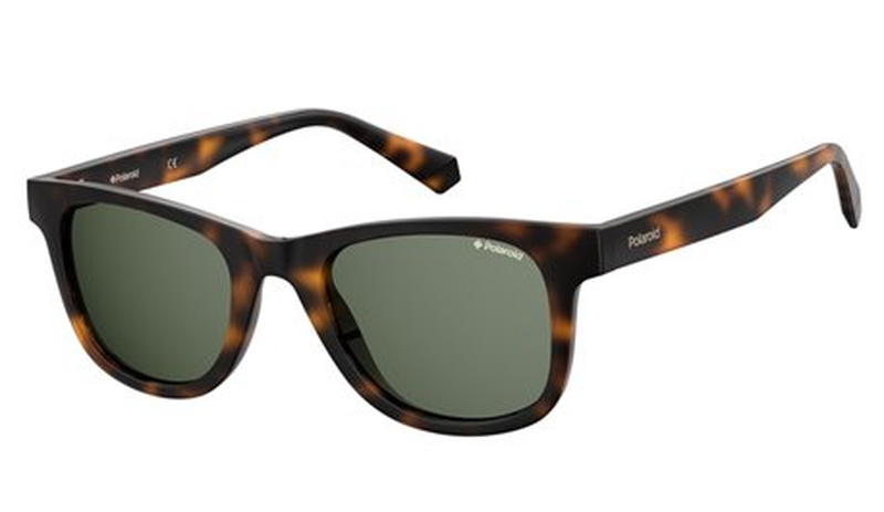 Polaroid  PLD 1016/S 086UC 50-22