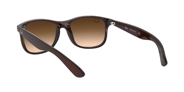 Rayban RB 4202 6073/13 55-17