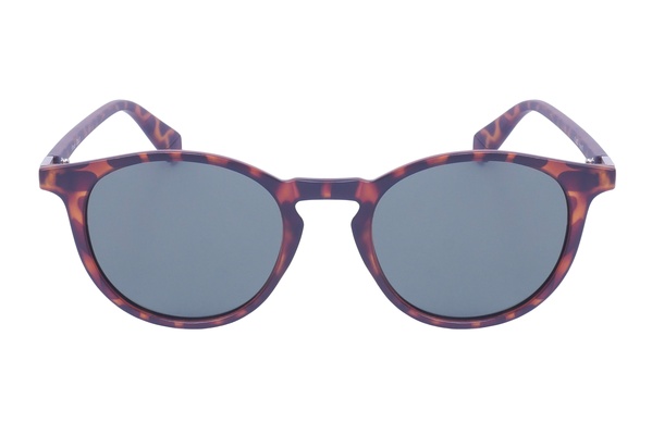 Trendy PL 555 C2 51-23