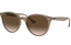 Rayban RB 4305 6166/13 53-19