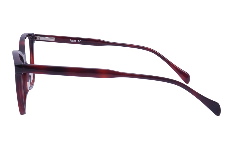 Icone 884309 C2 54-17