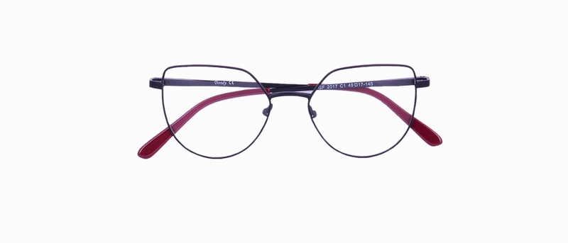 Trendy GF 2017 1 49-17