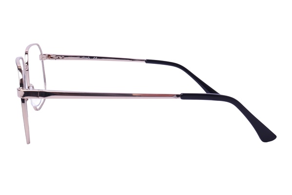 Trendy 1136 C2 54-18