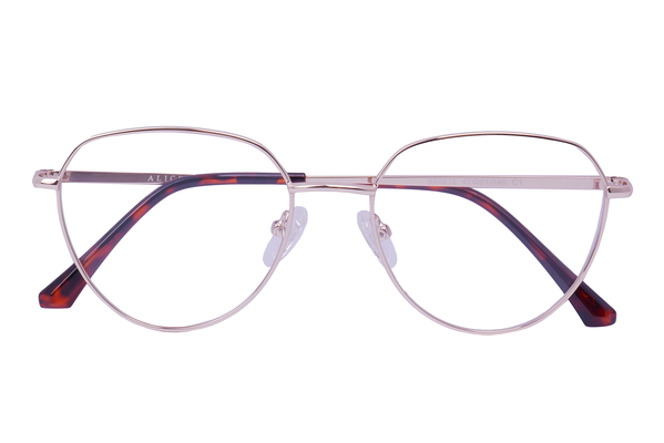 Alice 884212 C1 47-21