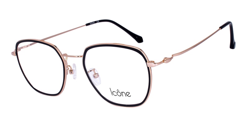 Icone 95702 C1 50-20