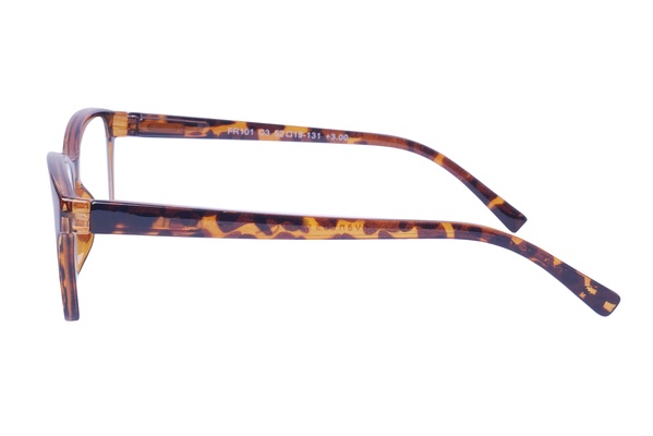 CVANTUS RE FR101 C3 52-19 (M)