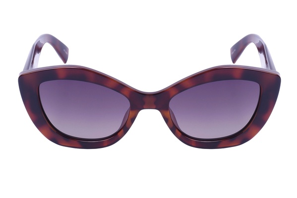 Polarglare PG 7001C BROWN TORT 51-19