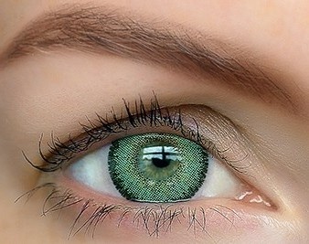 Queen's One Day (Green)