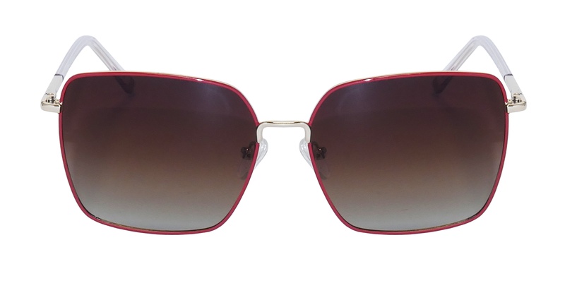 Icone GF 100 C2 56-16