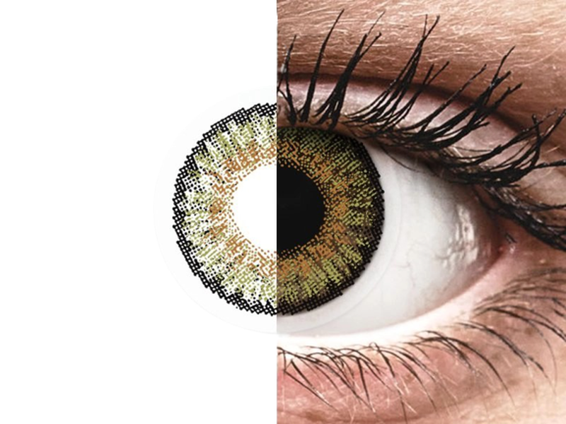FreshLook One Day (Pure Hazel)
