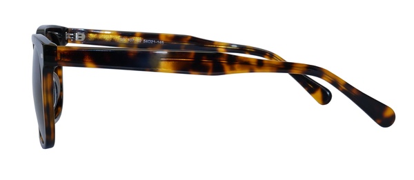 Icone GF 107 C2 54-21