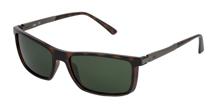 H1N1 GS 1335 02 58-17