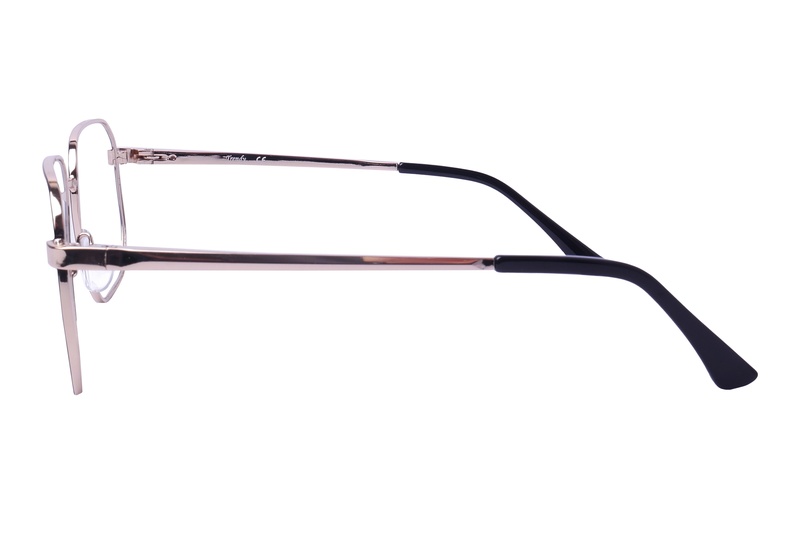 Trendy 1136 C2 54-18