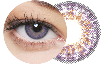 Clear Color (Violet CL303N)