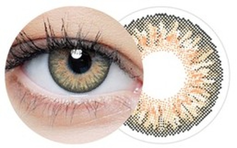 Clearcolor 1day (Hazel FL332)