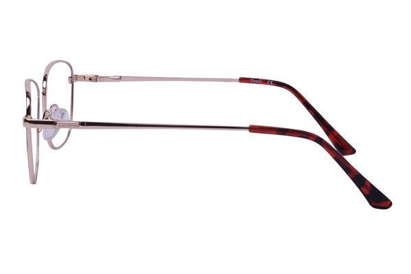 Trendy 7017 C6 52-17