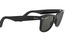 Rayban RB 2140 901/58 50-22