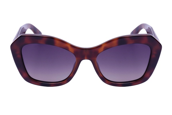 Polarglare PG 7003C BROWN TORT 54-17