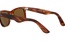 Rayban RB 2140 954 50-22