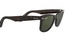 Rayban RB 2140 902 50-22