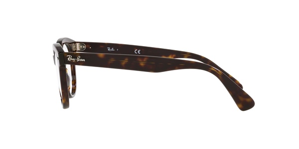 Ray-Ban RB 2199V 2012 50-22