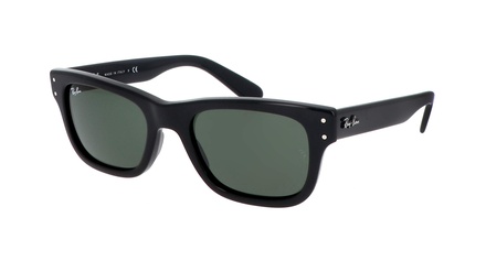 Ray-Ban RB 2283 901/31 52-20