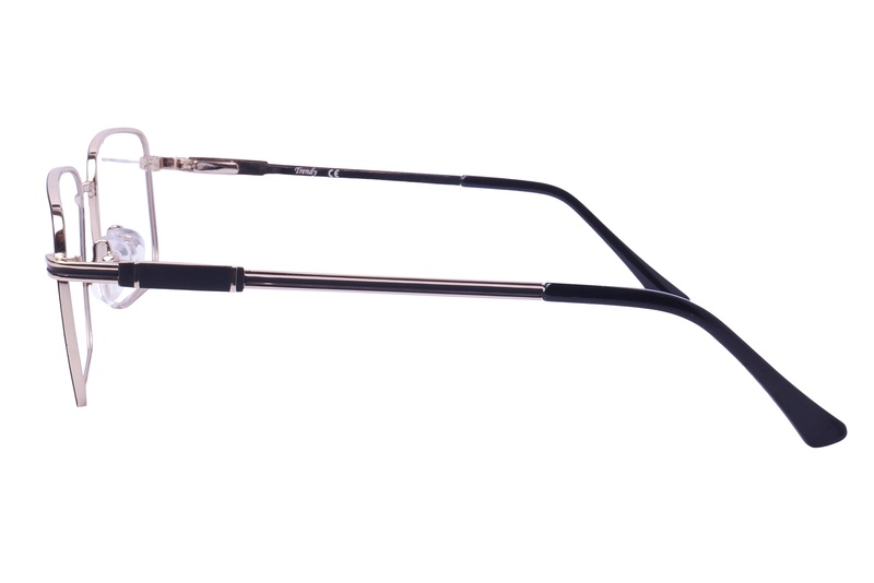 Trendy 1134 C2 55-17