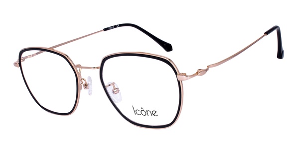 Icone 95702 C1 50-20