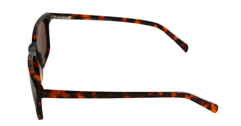 Trendy SP124 C1 55-19