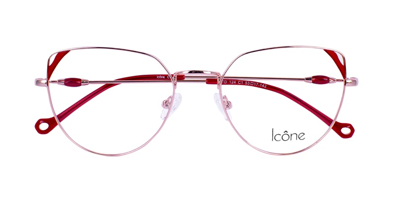 Icone STD 124 C1 53-17