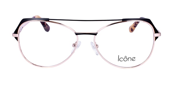 Icone 96119 C3 53-15