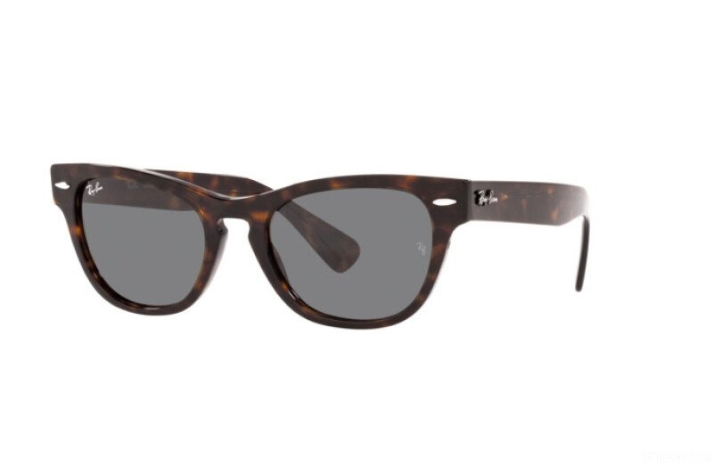 Ray-Ban RB 2201 902/B1 54-20
