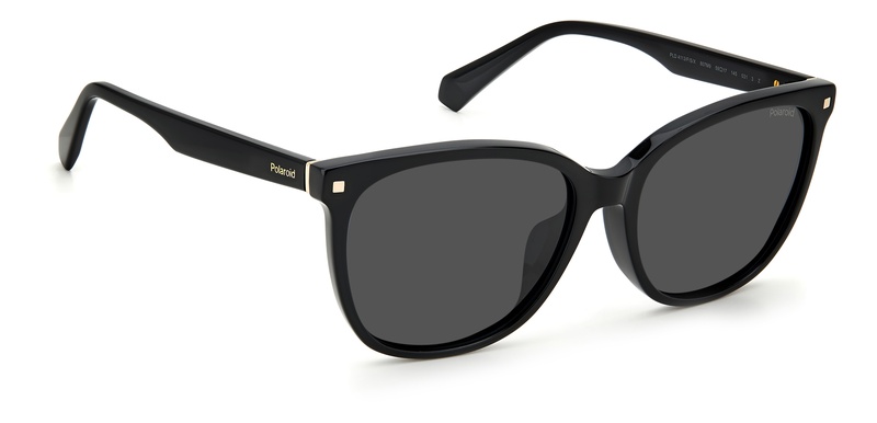 Polaroid  PLD  4113/F 807M9 59-17