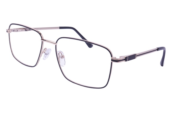 Trendy 1134 C2 55-17