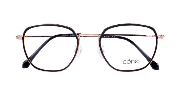 Icone 95702 C1 50-20