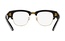 Rayban RB 0316V 2000 50-21